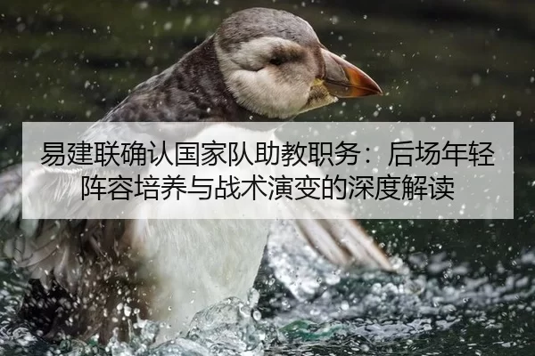 易建联确认国家队助教职务：后场年轻阵容培养与战术演变的深度解读